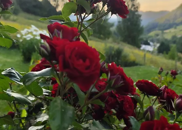 Holiday home Hilltop *